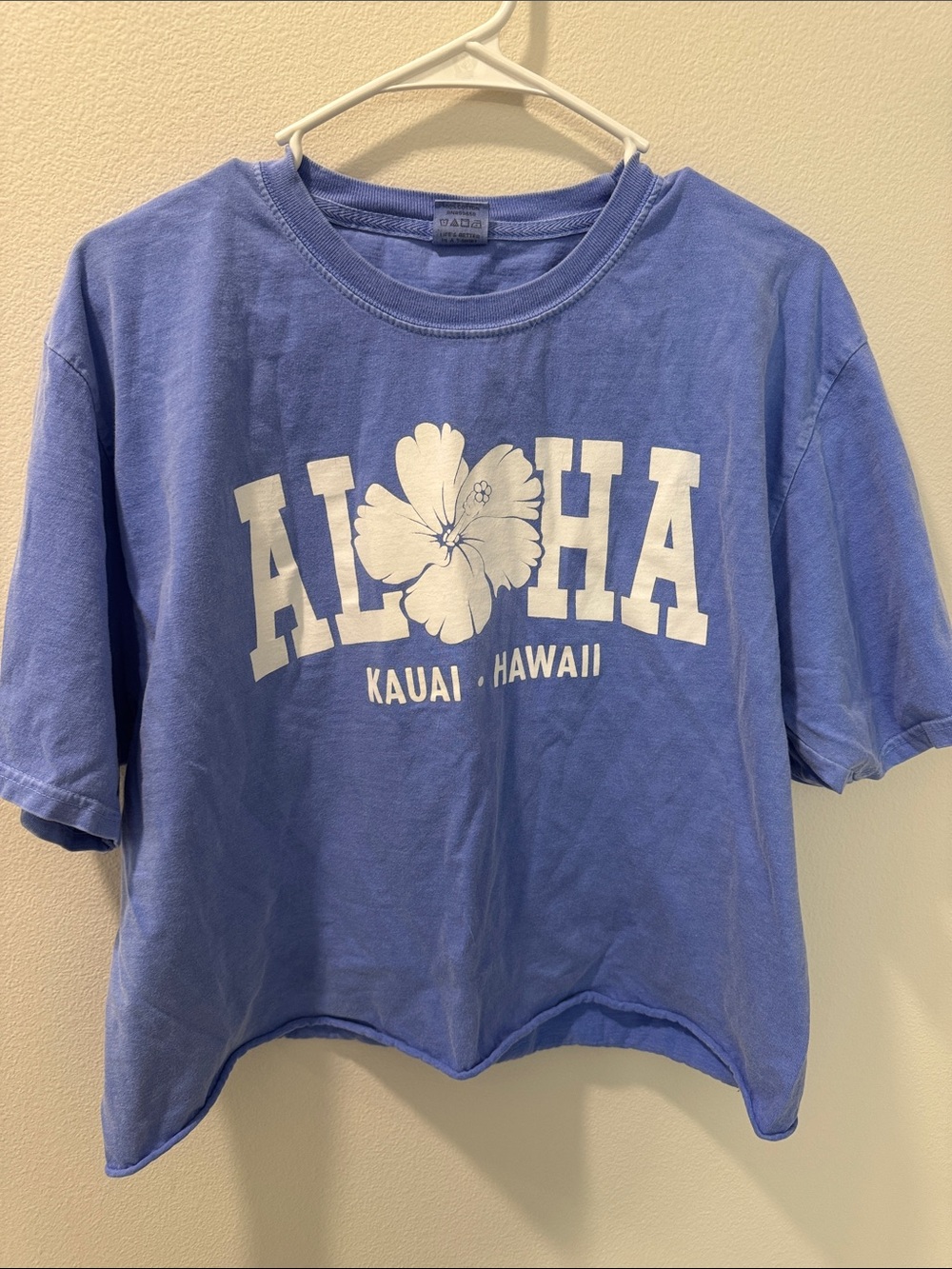 Aloha Kauai Hawaii Graphic Tee - Blue